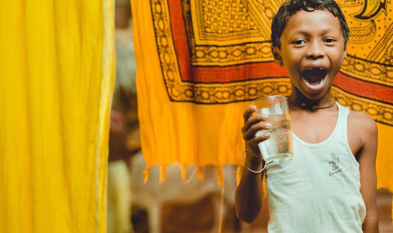 Non Profit Wordpress Theme - Donation