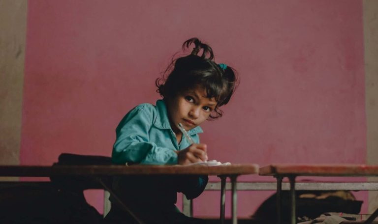 Non Profit WordPress Theme - Donation